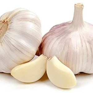 Red Garlic Hybrid Seed (15 per packet)